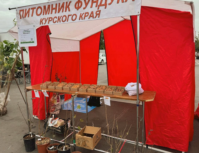 В Курске у гипермаркета «Линия» на Энгельса прошла специализированная садовая выставка-ярмарка 