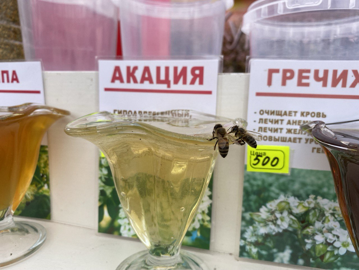 В Курске на площади, прилегающей к гипермаркету «ЛИНИЯ-1» по улице Энгельса, 70 прошли традиционные летние ярмарки «Курский мёд-2025».