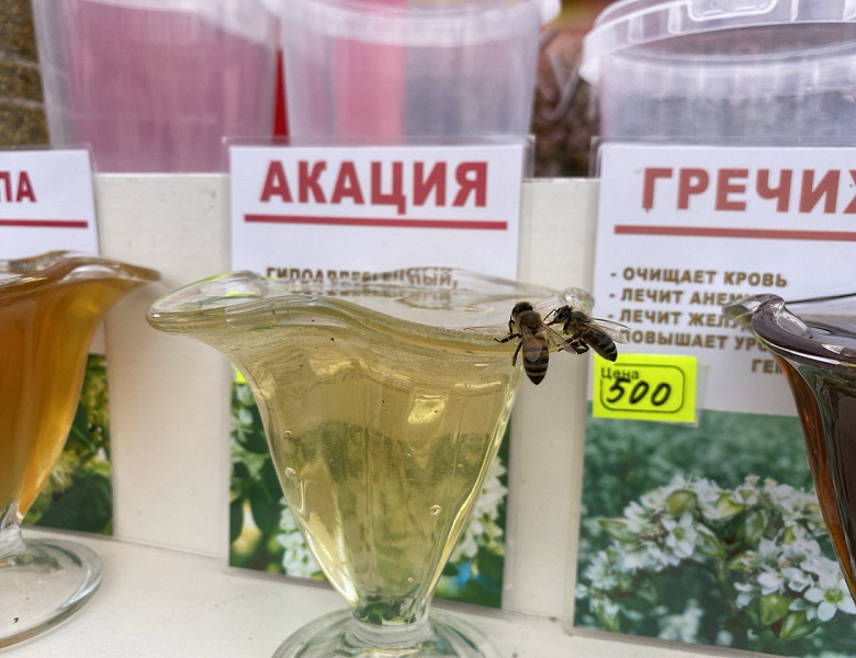 В Курске на площади, прилегающей к гипермаркету «ЛИНИЯ-1» по улице Энгельса, 70 прошли традиционные летние ярмарки «Курский мёд-2025».